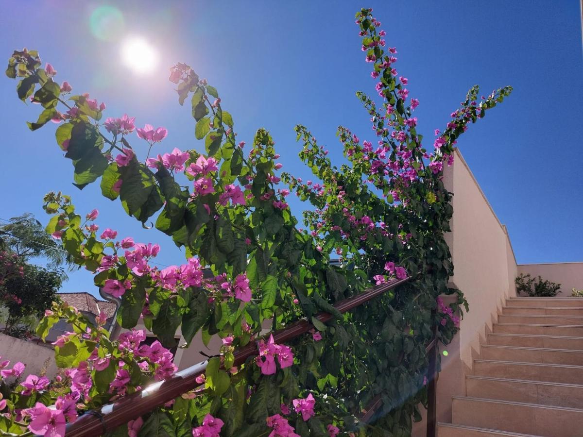 יזרה Apartments Lavanda - Free Parking And Grill מראה חיצוני תמונה